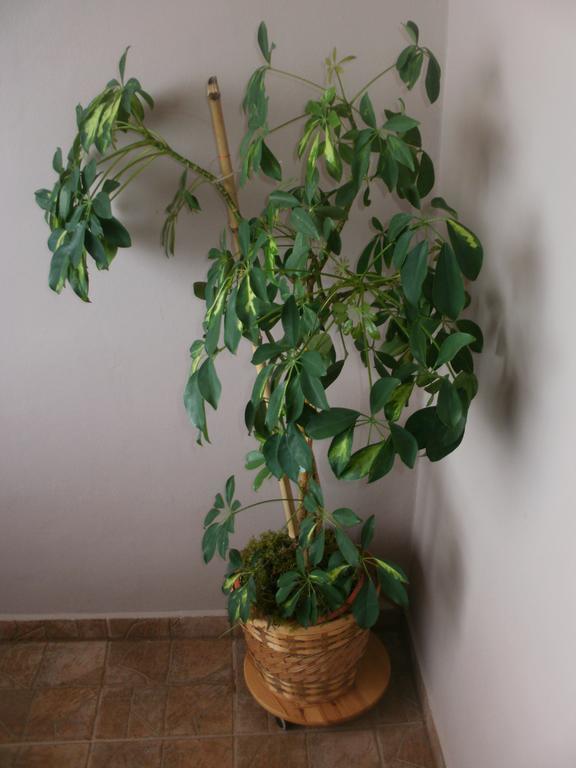 Corry 1 Apartment Ravni Cameră foto
